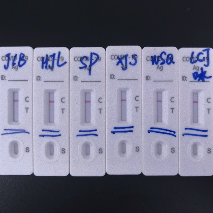 Prinsip dan operasi deteksi Rapid Antigen Test distandarisasi