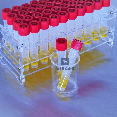 Kit Media Pengangkut Virus VTM Melindungi Pengambilan Sampel Virus